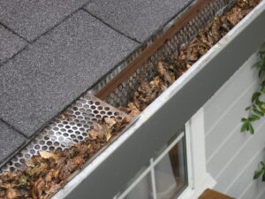 Close-up of a clogged gutter guard with fallen leaves on a shingled roof