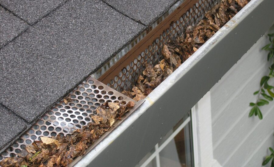 Close-up of a clogged gutter guard with fallen leaves on a shingled roof